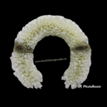 WHITE FLOWERS